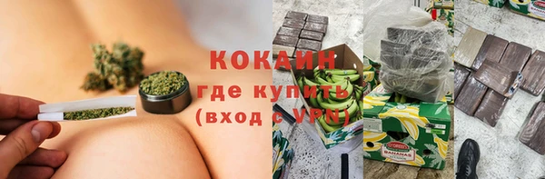 прущие грибы Инта