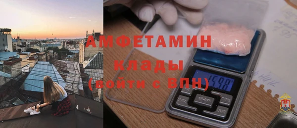прущие грибы Инта