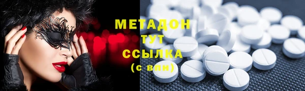 прущие грибы Инта