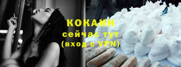прущие грибы Инта
