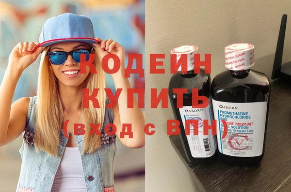 прущие грибы Инта