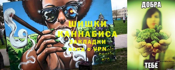 прущие грибы Инта