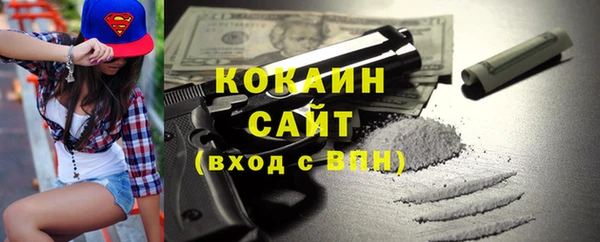 прущие грибы Инта