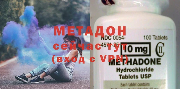 прущие грибы Инта