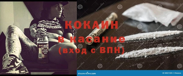 прущие грибы Инта